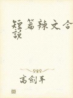 短篇辣文合集小说