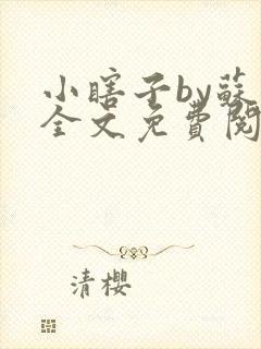 小瞎子by苏软全文免费阅读