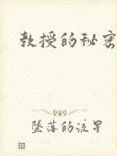 教授的秘密封面