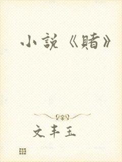 小说《赌》封面