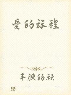 爱的旅程封面