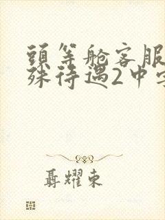 头等舱客服的特殊待遇2中字封面