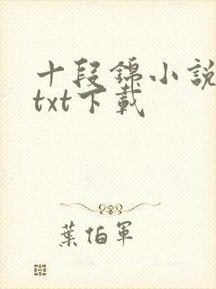 十段锦小说全本txt下载