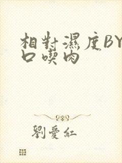 相对湿度BY大口吃肉