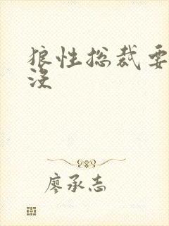 狼性总裁要够了没