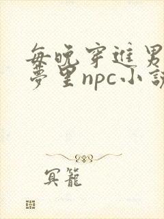 每晚穿进男神的梦里npc小说