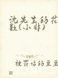 沈先生的花式调数(小非)