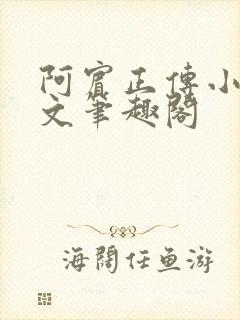 阿宾正传小说全文笔趣阁