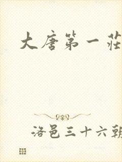 大唐第一庄