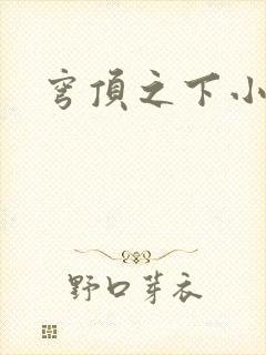 穹顶之下小说封面