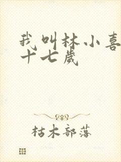 我叫林小喜今年十七岁