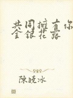 共同拥有你by金银花露封面