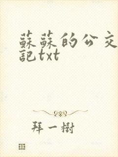 苏苏的公交车日记txt封面