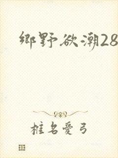 乡野欲潮28章