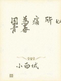 因为痛 所以叫青春