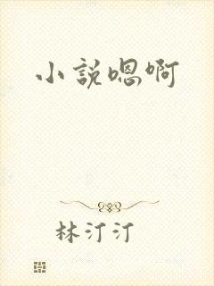 小说嗯啊