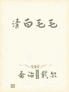 清白毛毛