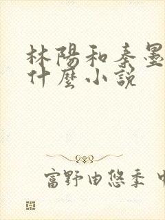 林阳和秦墨浓是什么小说封面