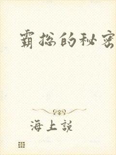 霸总的秘密教学封面