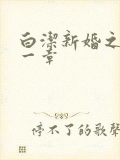 白洁新婚之夜第一章封面