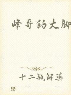 峰哥的大脚封面