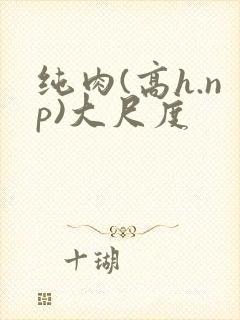 纯肉(高h.np)大尺度