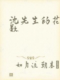 沈先生的花式调数