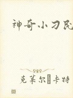 神奇小刁民
