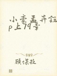 小豪孟卉钰慧三p上79章