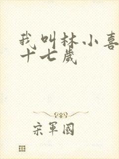 我叫林小喜今年十七岁