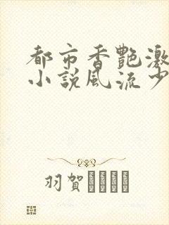 都市香艳激情肉小说风流少年小说封面