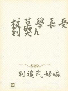 校草学长受被做到哭h