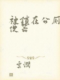 被锁在公厕当坐便器