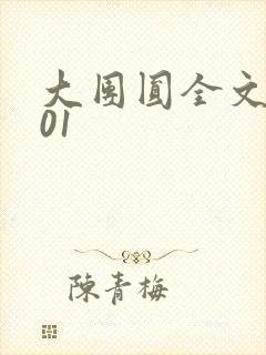 大团圆全文阅读01封面