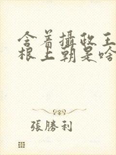 含着摄政王的紫根上朝是啥小说封面