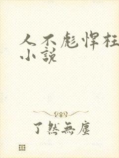 人不彪悍枉少年小说封面