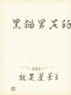 黑猫男友的