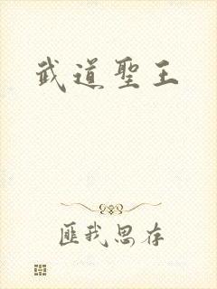 武道圣王封面