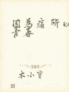 因为痛 所以叫青春