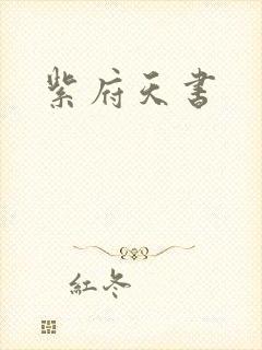 紫府天书封面