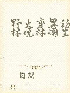 野火变异的父爱林晚林潮生