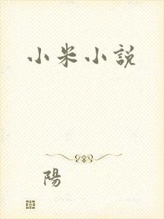 小米小说封面