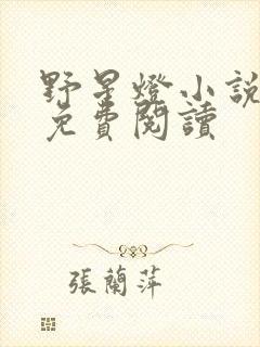 野星灯小说全文免费阅读封面