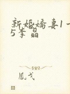 新婚娇妻1一25李晶
