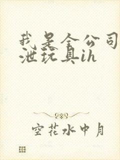 我是全公司的发泄玩具ih