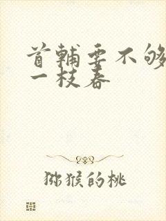 首辅要不够po一枝春