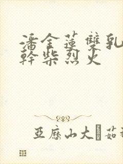 潘金莲双乳晃动干柴烈火封面