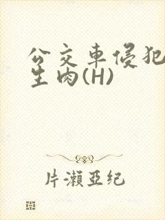 公交车侵犯小男生肉(H)