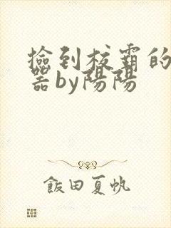 捡到校霸的遥控器by阳阳