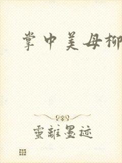 掌中美母柳玉茹封面